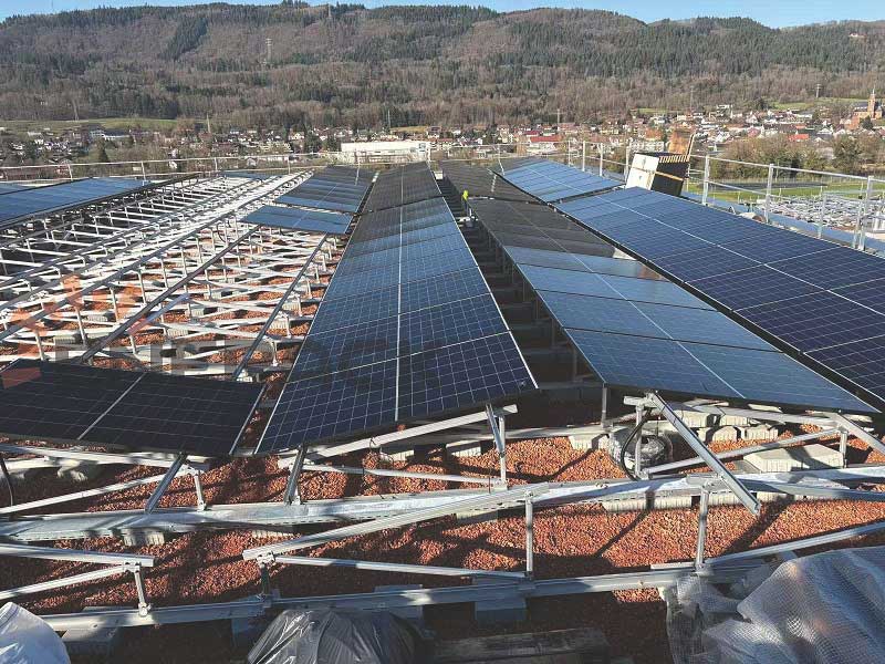 Excelente ejemplo de instalación de techo verde en Suiza
